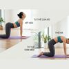 12 Bài Tập Cho Người Vẹo Cột Sống Chữ S Giúp Cải Thiện Tư Thế An Toàn