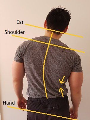 quadratus-lumborum-stretch-12-different-exercises---posture-direct