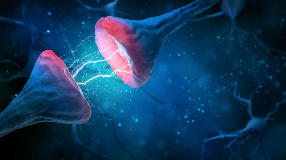 research-finds-that-memory-results-from-combining-two-different-neurons